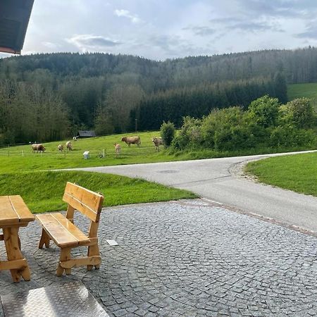 Ferienwohnung ,Hoizmann' Pinsdorf Eksteriør billede